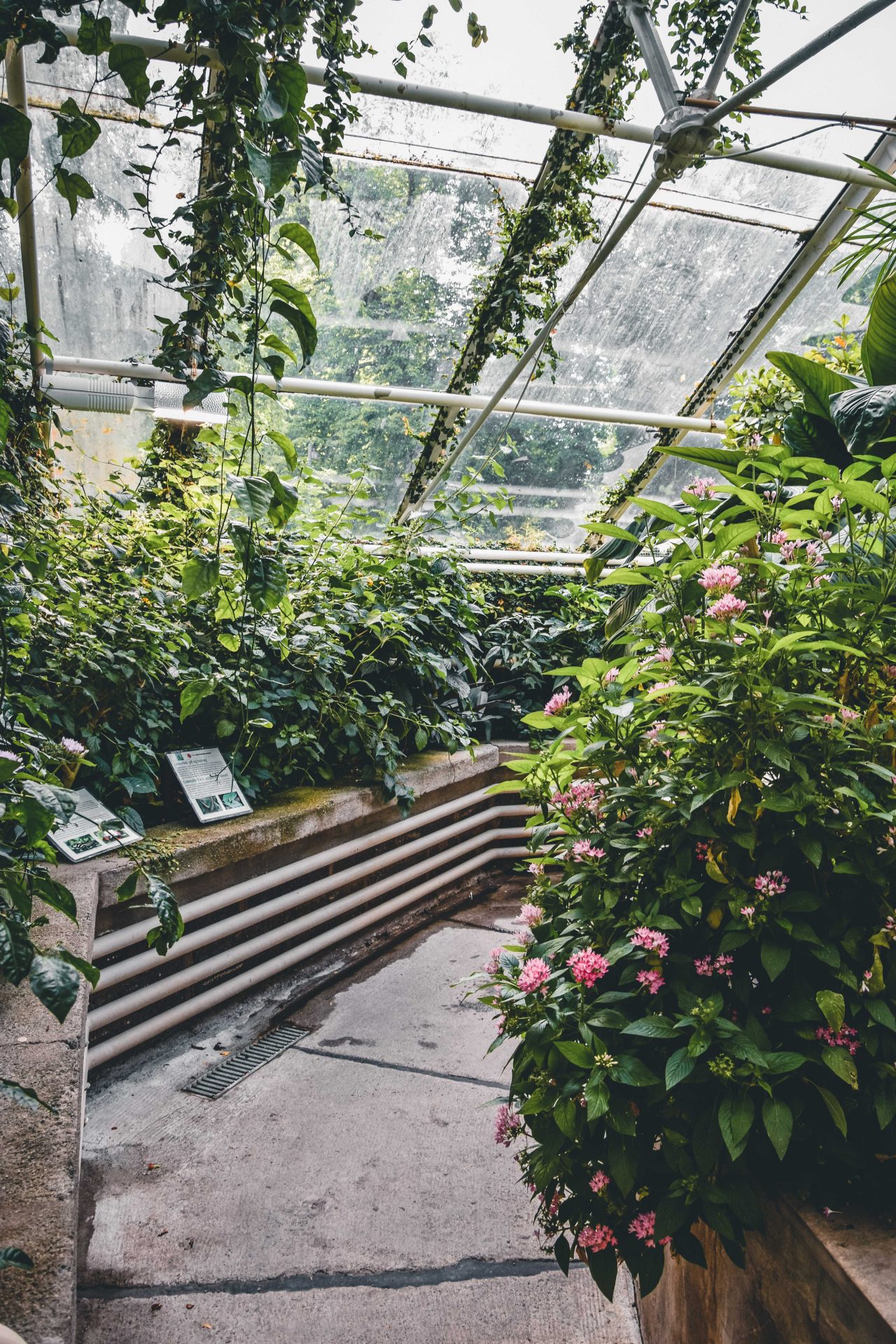 Ogród botaniczny Oslo