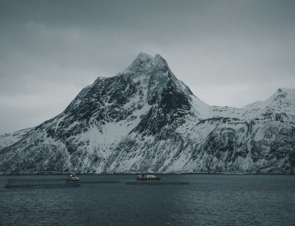 blog o Norwegii