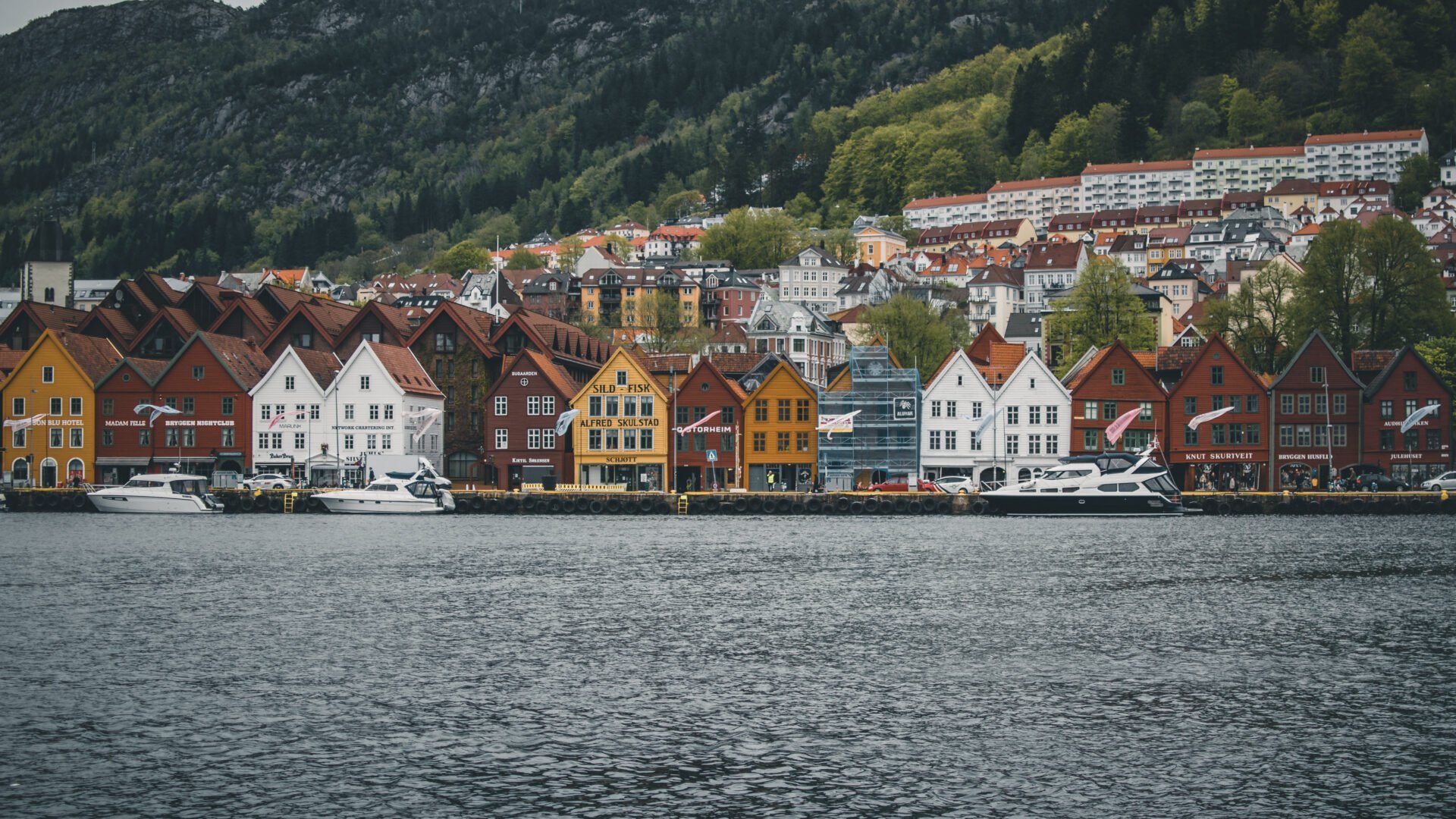 erasmus w Norwegii